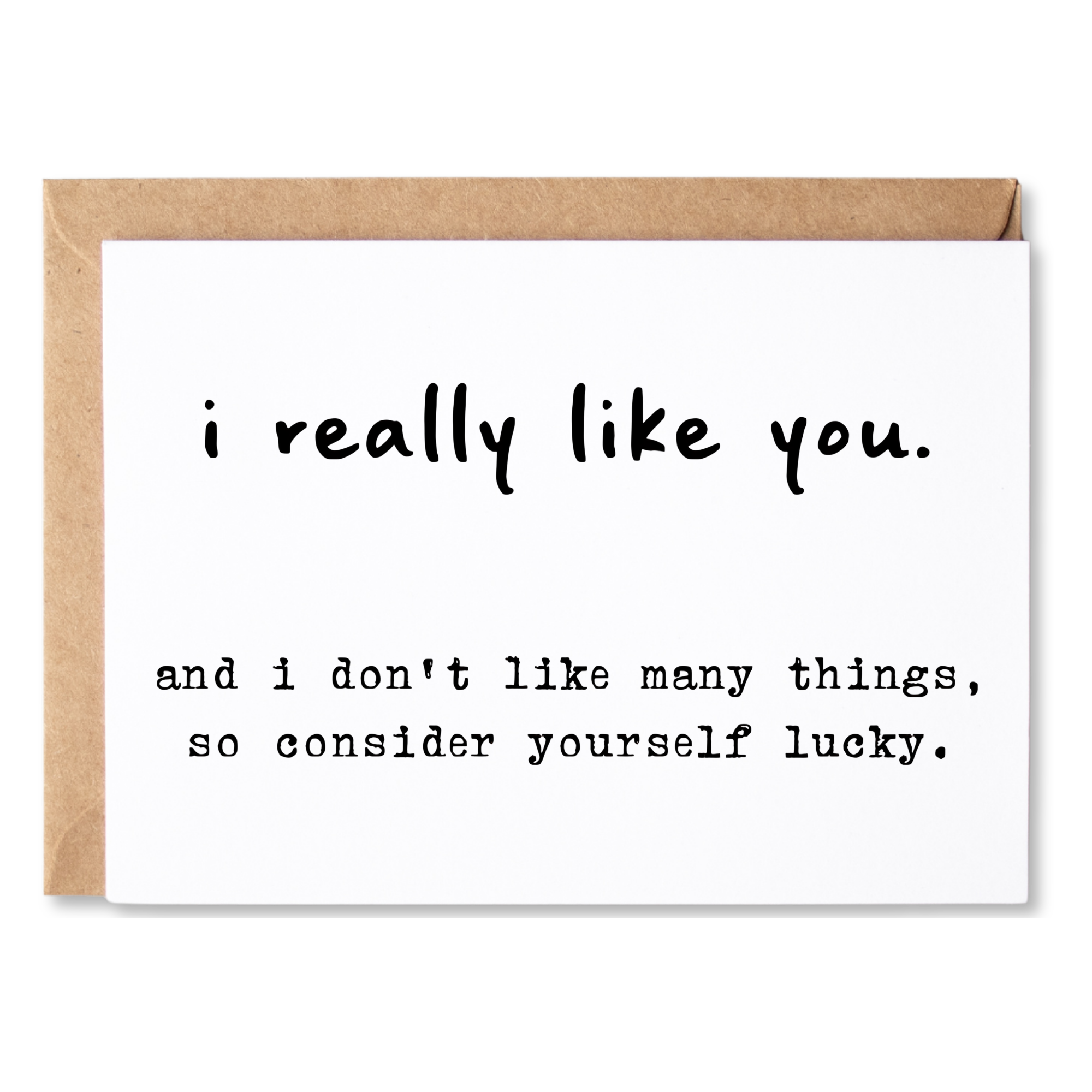 funny friendship/all occasion card | i really like you. and i don't like many things, so consider yourself lucky. | blank greeting card | INK161