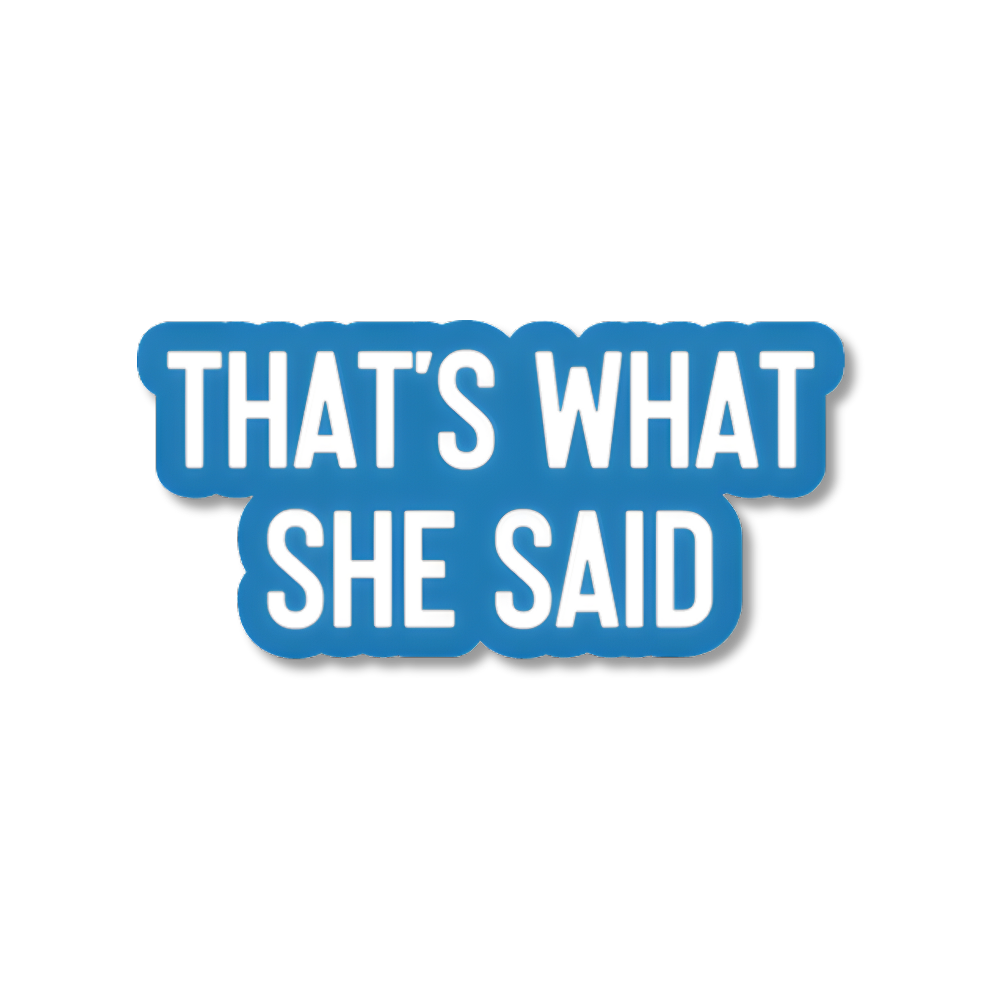 THAT'S WHAT SHE SAID STICKER